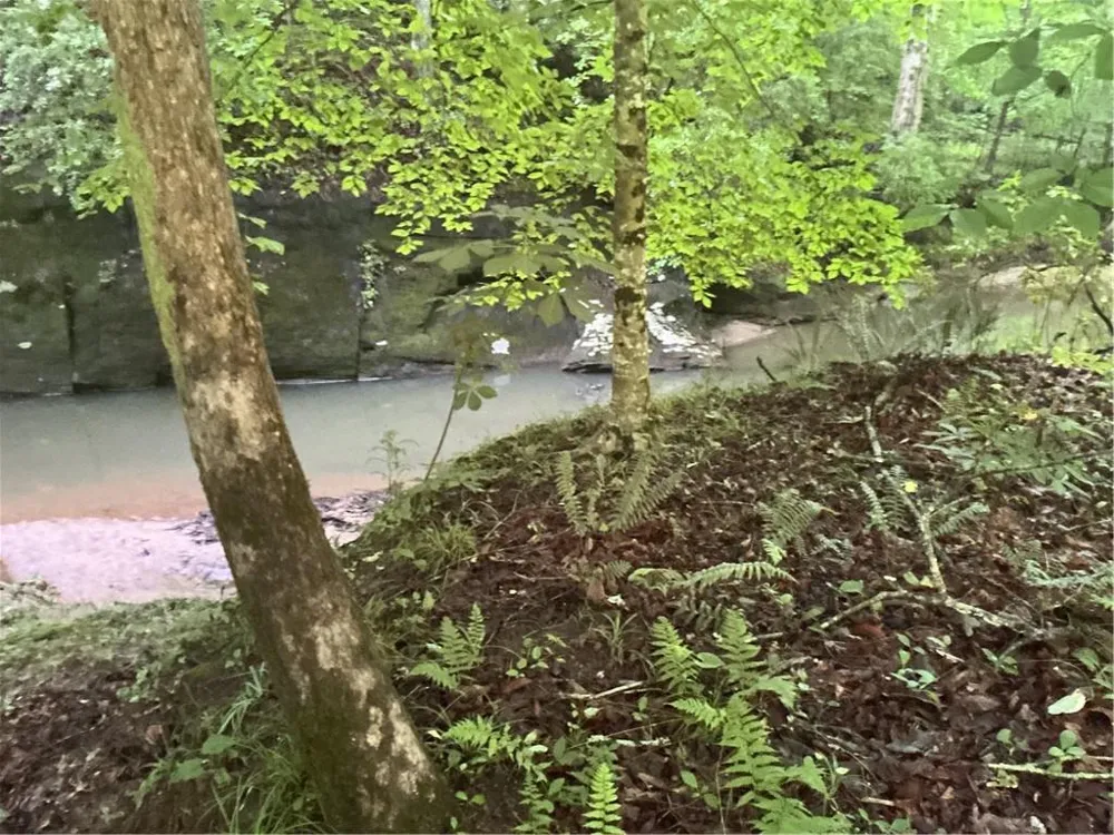 0 Mountain Brook Road Dawsonville, GA 30534