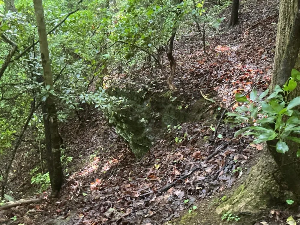 0 Mountain Brook Road Dawsonville, GA 30534