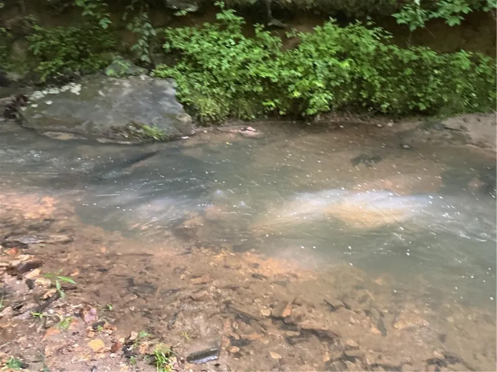 0 Mountain Brook Road Dawsonville, GA 30534