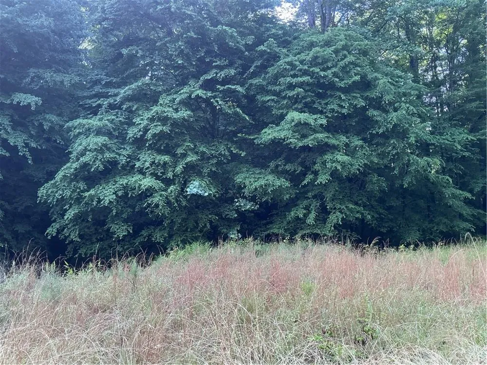 0 Mountain Brook Road Dawsonville, GA 30534