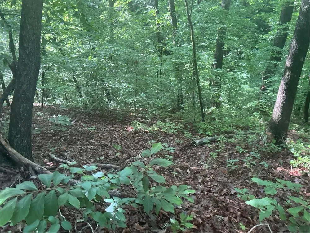 0 Mountain Brook Road Dawsonville, GA 30534