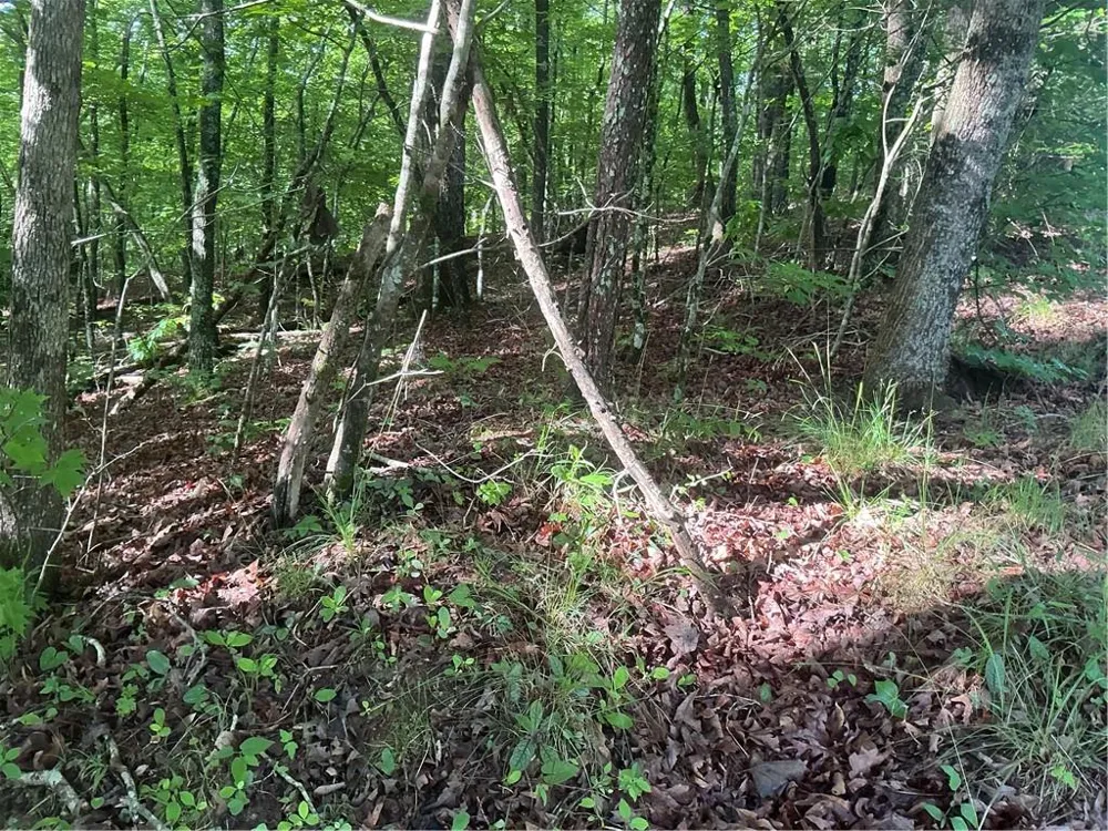 0 Mountain Brook Road Dawsonville, GA 30534