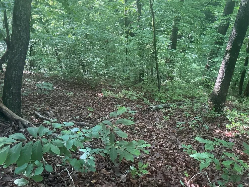 0 Mountain Brook Road Dawsonville, GA 30534