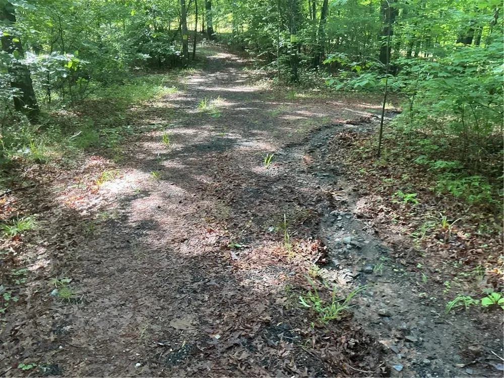 0 Mountain Brook Road Dawsonville, GA 30534