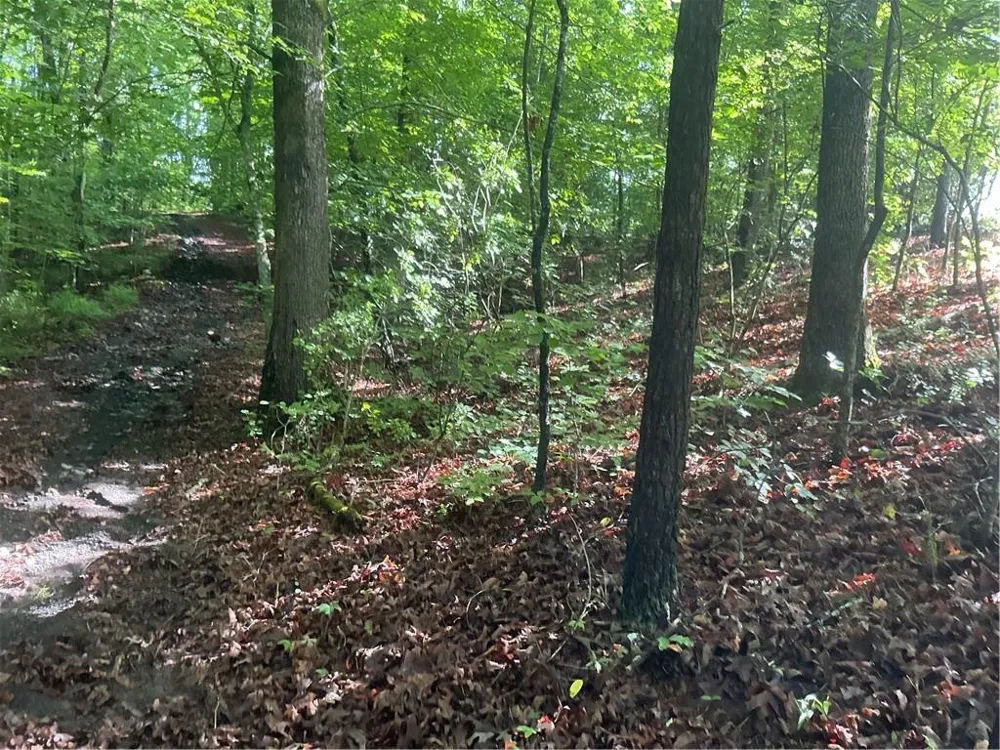 0 Mountain Brook Road Dawsonville, GA 30534