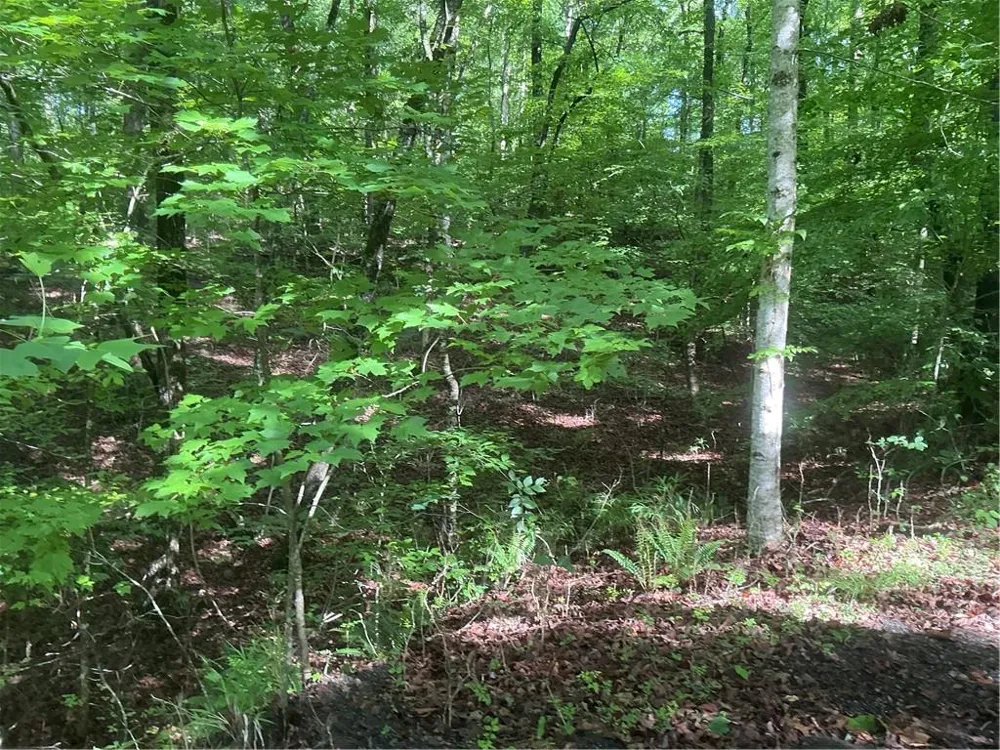 0 Mountain Brook Road Dawsonville, GA 30534
