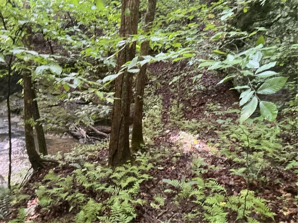 0 Mountain Brook Road Dawsonville, GA 30534