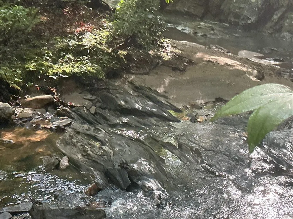 0 Mountain Brook Road Dawsonville, GA 30534
