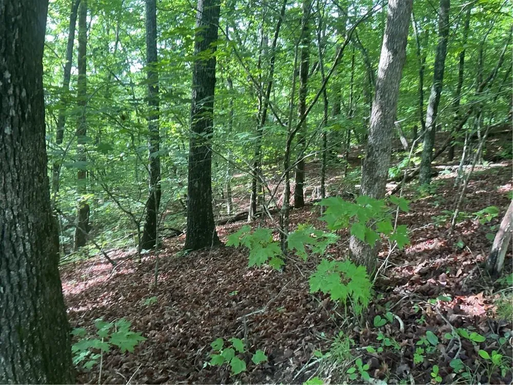 0 Mountain Brook Road Dawsonville, GA 30534