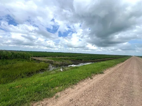 Cr 254
