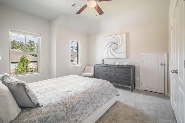 206 Liatris Court Conroe, TX 77304
