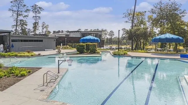 206 Liatris Court Conroe, TX 77304