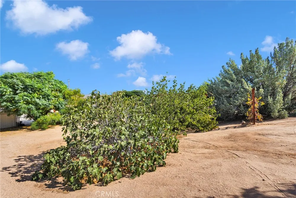 8951 Avocado Hesperia, CA 92345