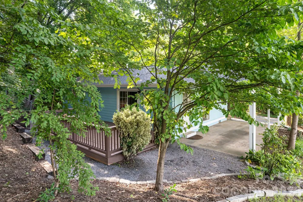 246 North Fork Road Black Mountain, NC 28711