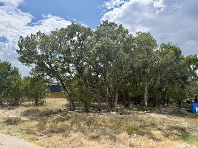 21707 Patton Drive Lago Vista, TX 78645