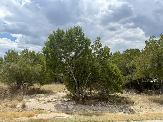 21707 Patton Drive Lago Vista, TX 78645