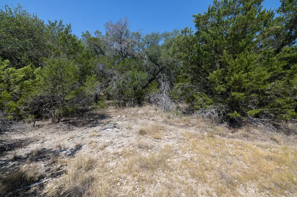 2306 Whitney Cove Lago Vista, TX 78645