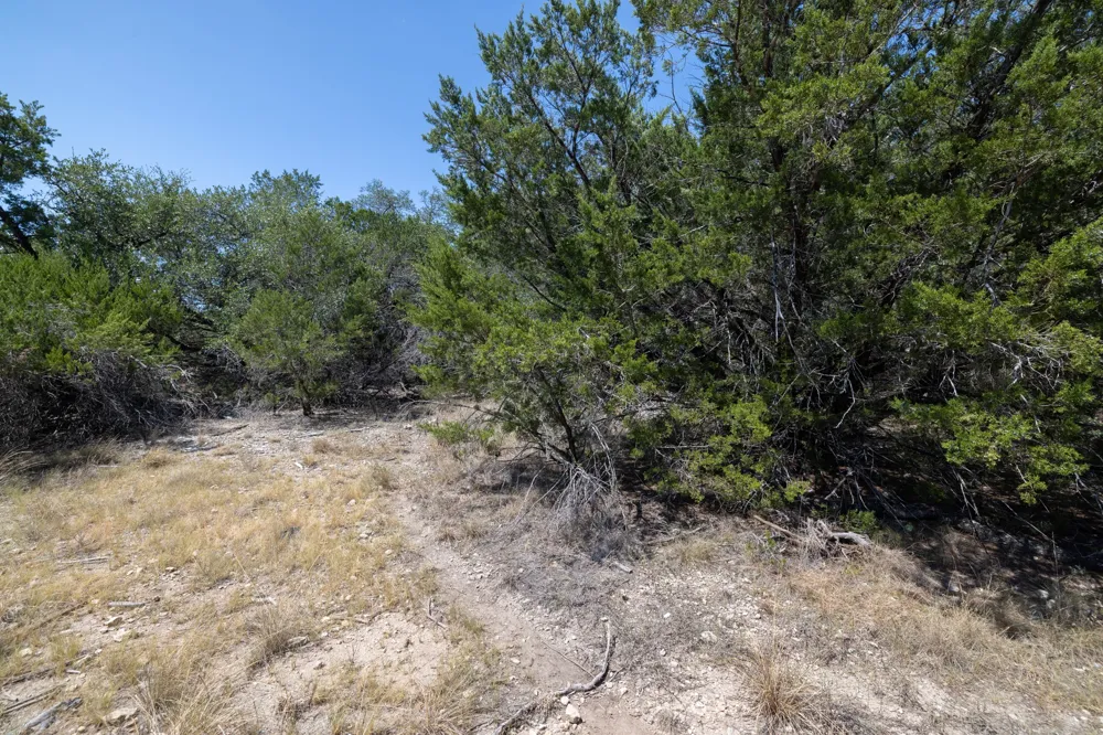 2306 Whitney Cove Lago Vista, TX 78645