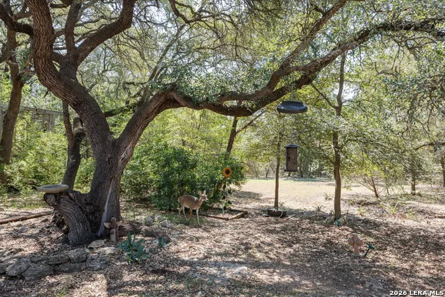 420 Green Acres Dr Wimberley, TX 78676