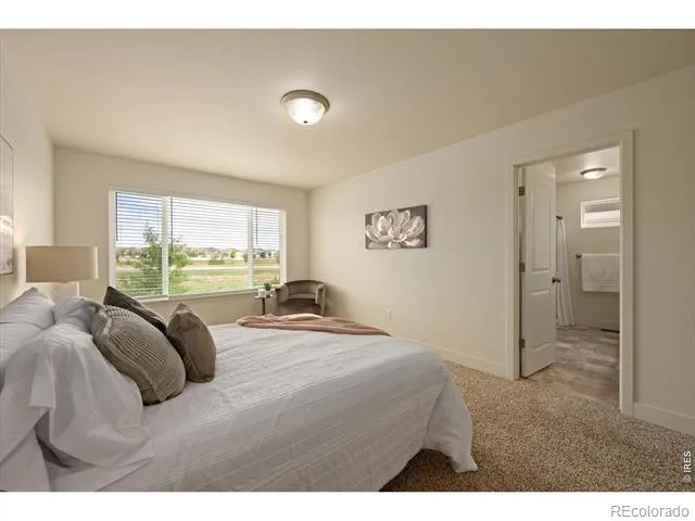 819 Forest Canyon Road Severance, CO 80550