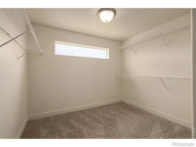 819 Forest Canyon Road Severance, CO 80550