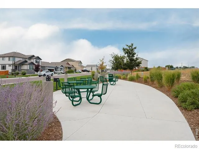 819 Forest Canyon Road Severance, CO 80550
