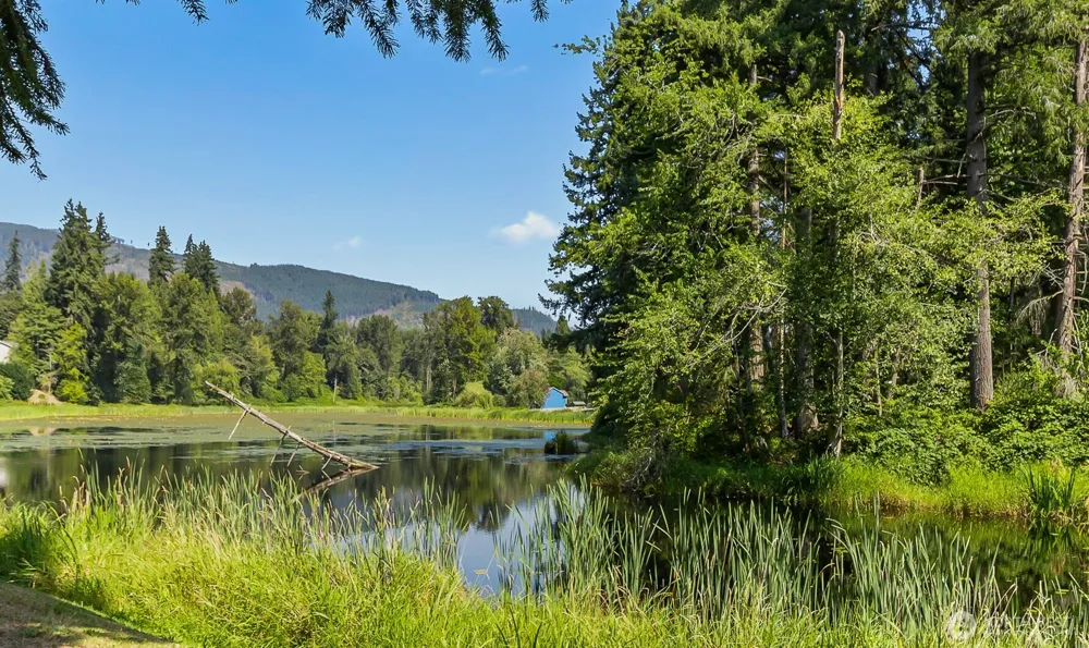 12110 167th Drive NE Arlington, WA 98223