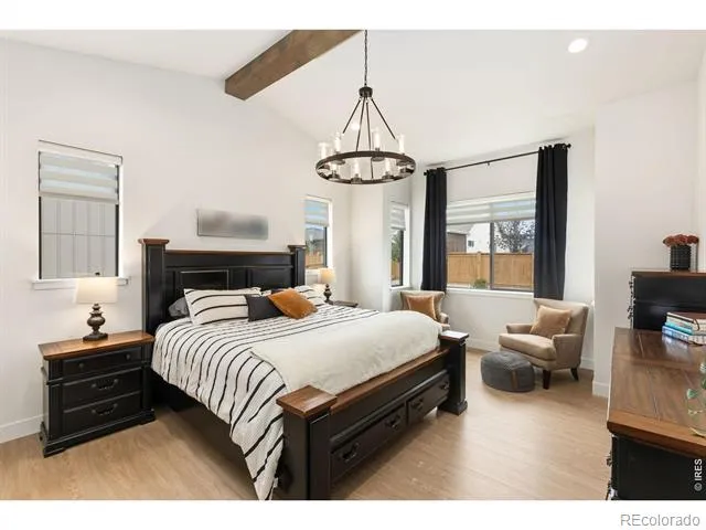 843 Clydesdale Drive Windsor, CO 80550