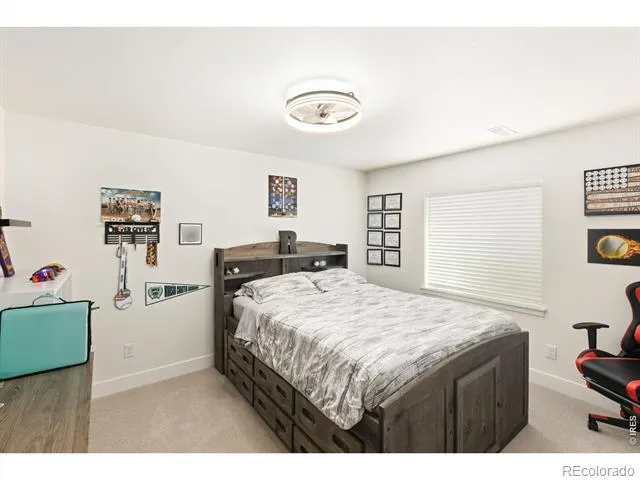 843 Clydesdale Drive Windsor, CO 80550