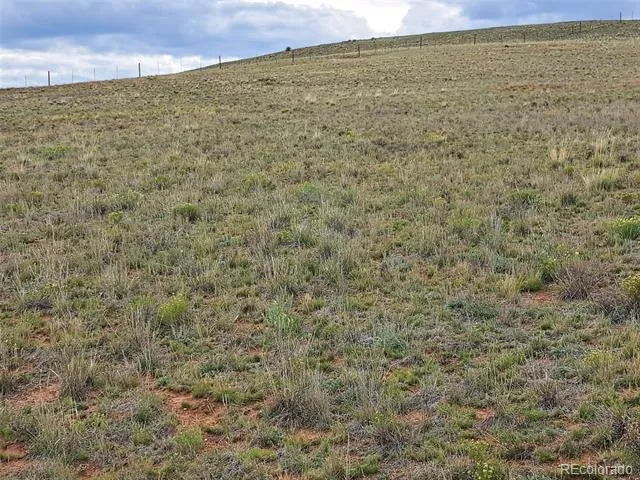 00000 Kiowa Road Hartsel, CO 80449