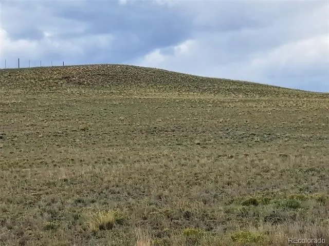 00000 Kiowa Road Hartsel, CO 80449