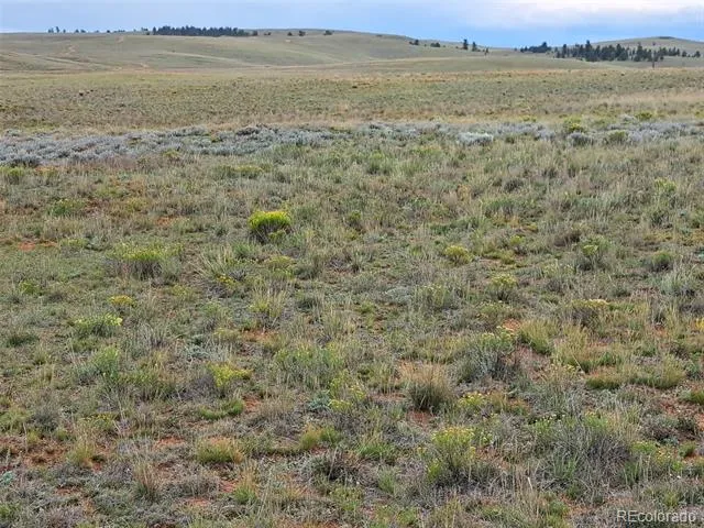 00000 Kiowa Road Hartsel, CO 80449
