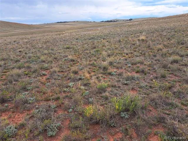 00000 Kiowa Road Hartsel, CO 80449