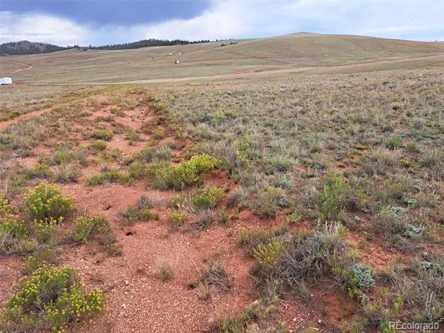 00000 Kiowa Road Hartsel, CO 80449