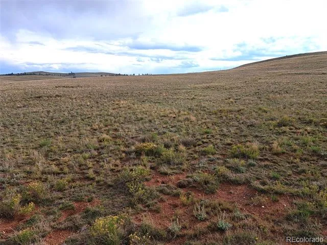 00000 Kiowa Road Hartsel, CO 80449