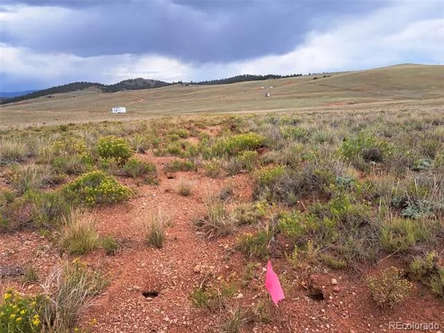 00000 Kiowa Road Hartsel, CO 80449