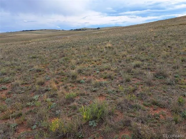 00000 Kiowa Road Hartsel, CO 80449