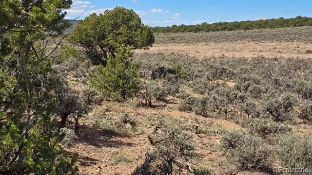 7028 Frelinghuysen Road Fort Garland, CO 81133