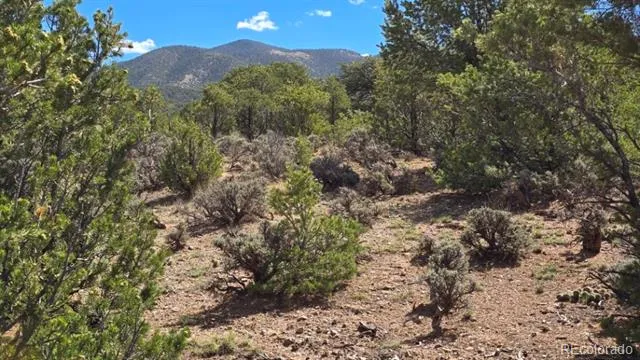 7028 Frelinghuysen Road Fort Garland, CO 81133