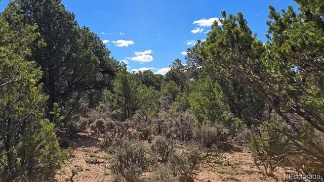 7028 Frelinghuysen Road Fort Garland, CO 81133