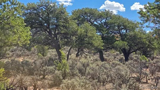 7028 Frelinghuysen Road Fort Garland, CO 81133