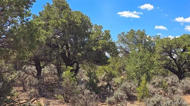 7028 Frelinghuysen Road Fort Garland, CO 81133