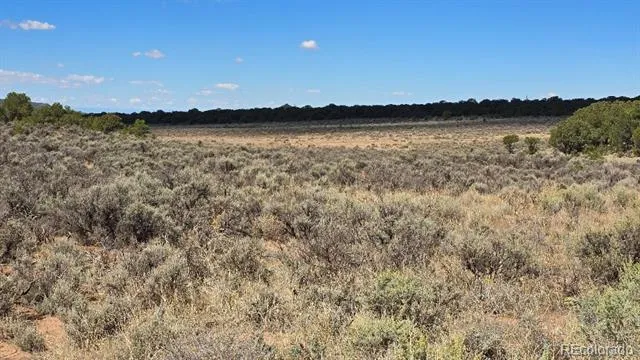 7028 Frelinghuysen Road Fort Garland, CO 81133