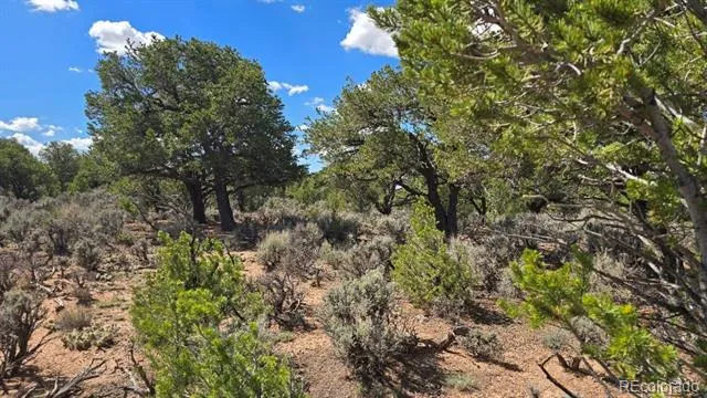7028 Frelinghuysen Road Fort Garland, CO 81133