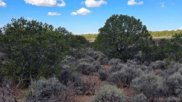 7028 Frelinghuysen Road Fort Garland, CO 81133