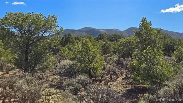 7028 Frelinghuysen Road Fort Garland, CO 81133