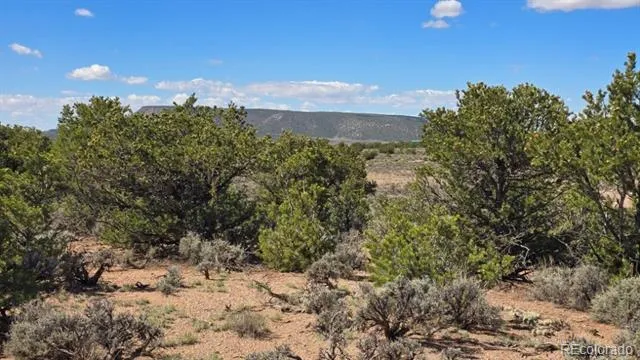 7028 Frelinghuysen Road Fort Garland, CO 81133
