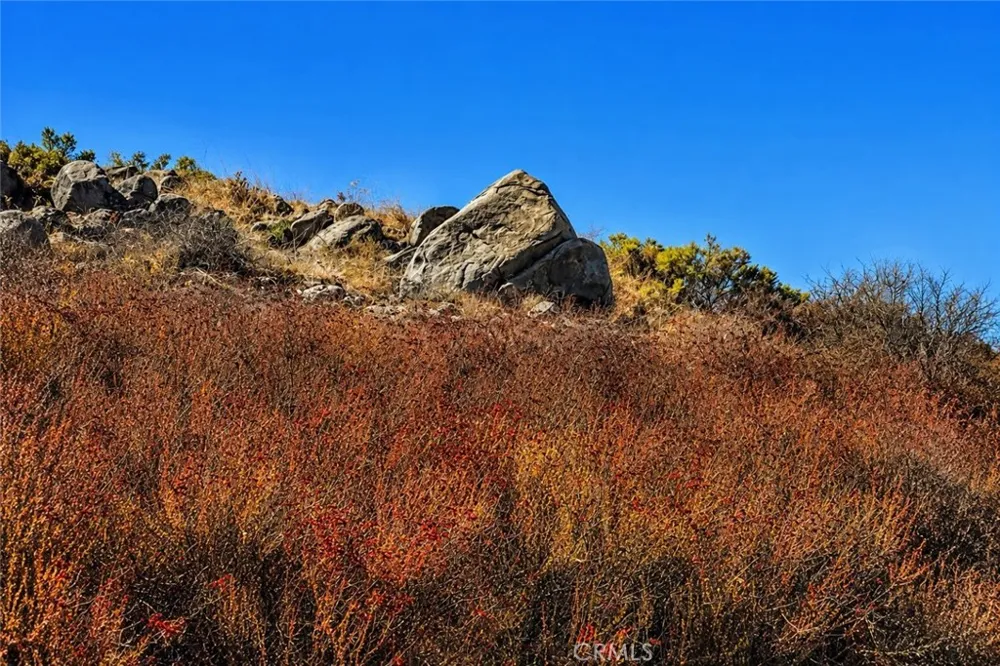 Meadow Mesa Dr. Escondido, CA 92026