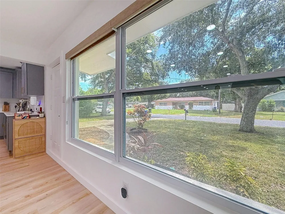 674 FREDERICA LN Dunedin, FL 34698