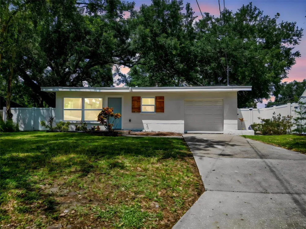 674 FREDERICA LN Dunedin, FL 34698